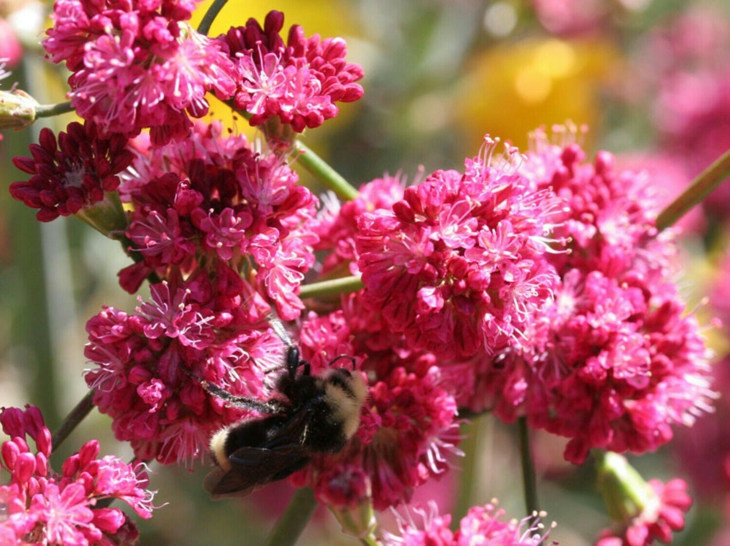 🏞️ 연인 곶(코이비토 미사키) 이미지 6